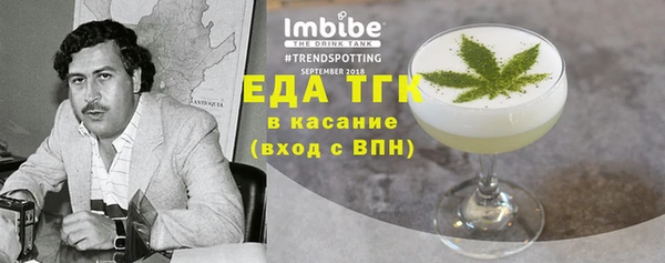 индика Туринск
